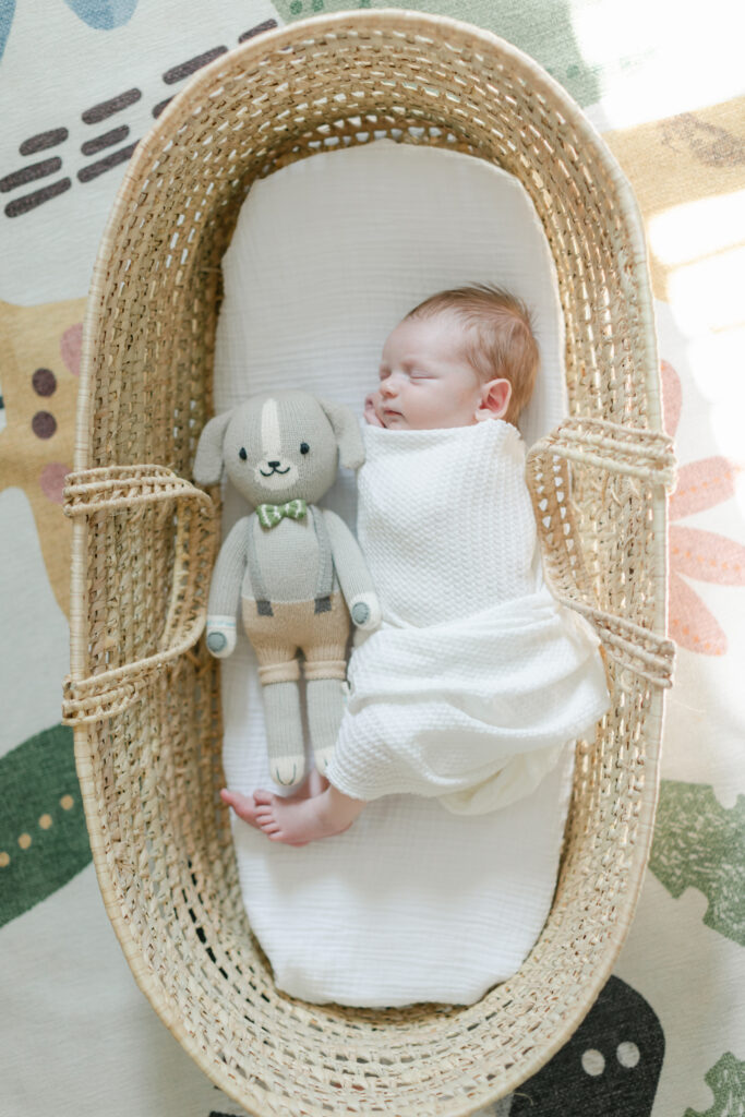 Baby in basket with stuffed dog as an example of favorite gifts from baby braithwaite